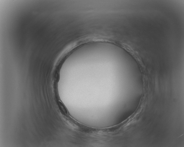 X0000061120197200511241719