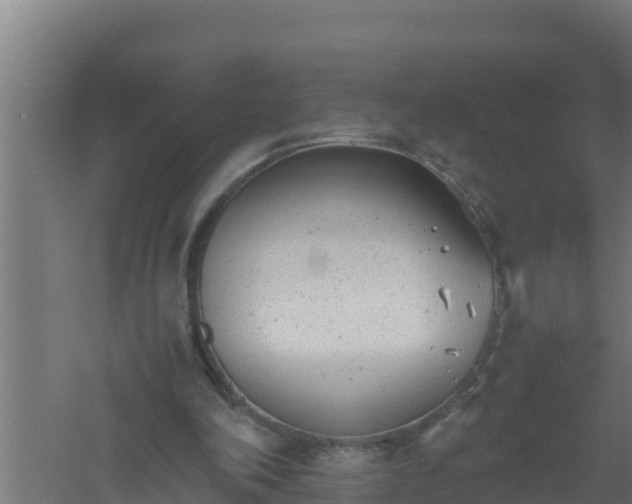 X0000061120198200511241719