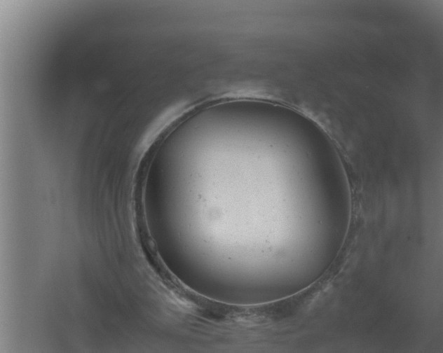 X0000061120199200511241719