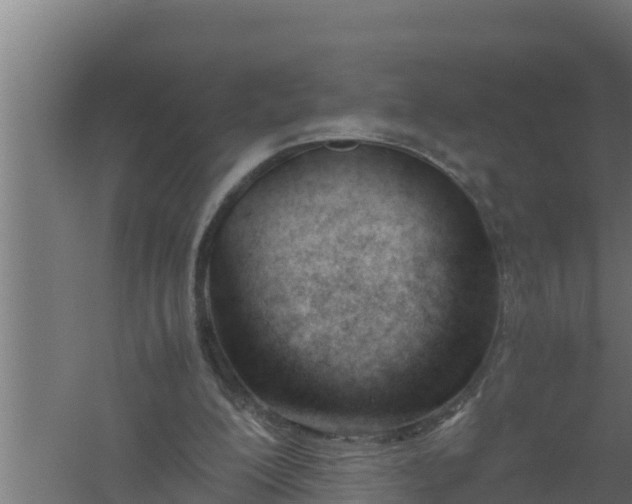 X0000061120200200511241719