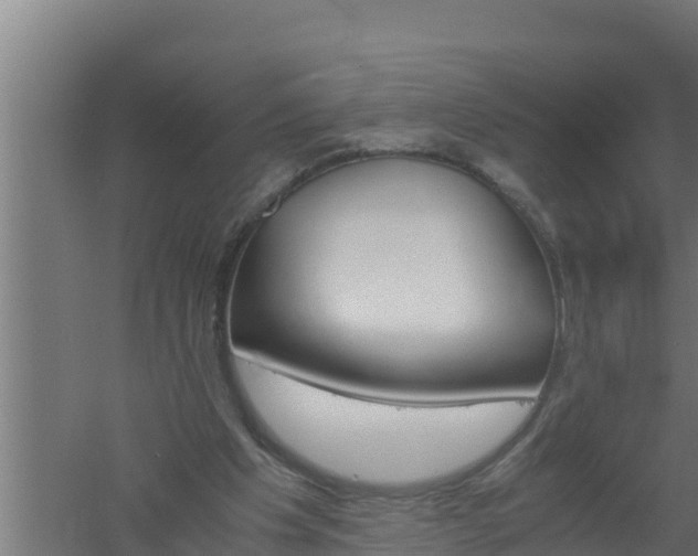 X0000061120201200511241719