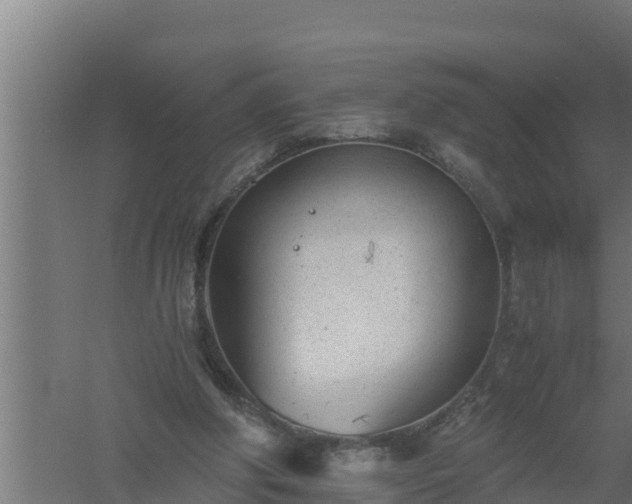 X0000061120202200511241719