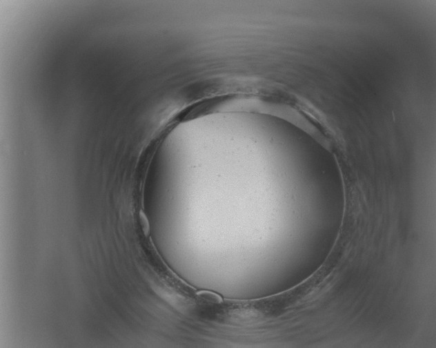 X0000061120203200511241719