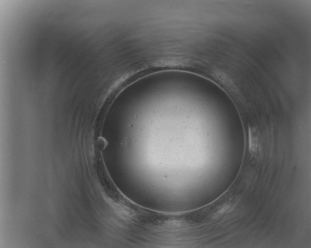 X0000061120204200511241719