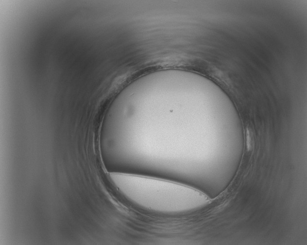 X0000061120205200511241719