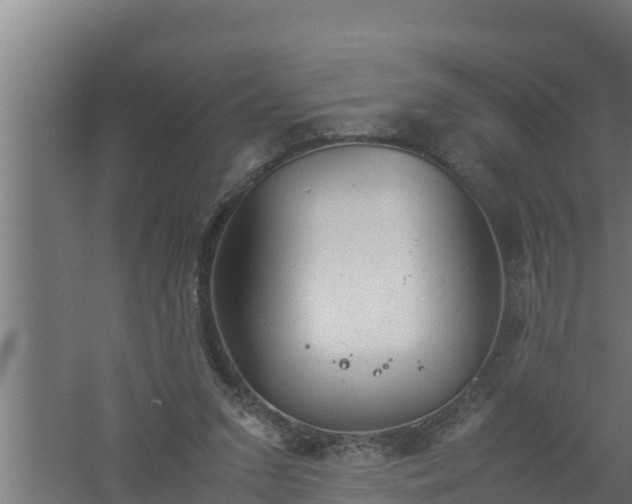 X0000061120207200511241719