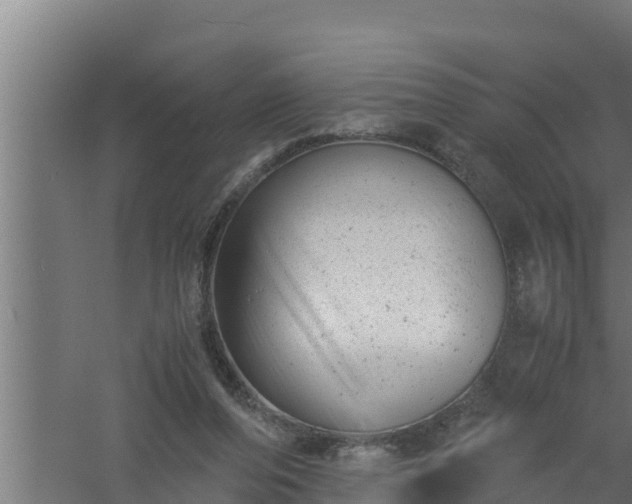 X0000061120208200511241719