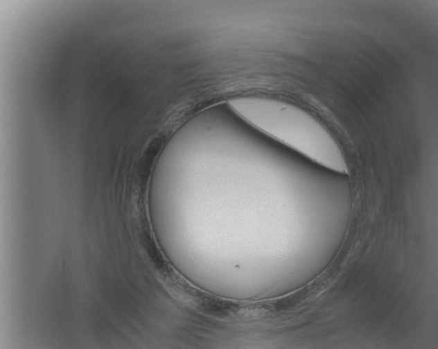 X0000061120209200511241719