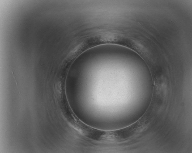 X0000061120211200511241719