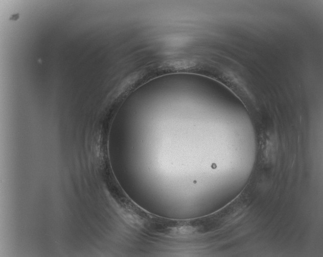 X0000061120212200511241719