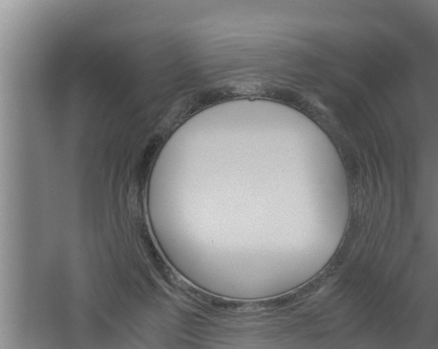 X0000061120213200511241719