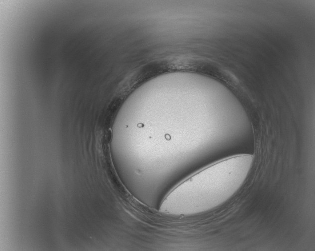 X0000061120217200511241719