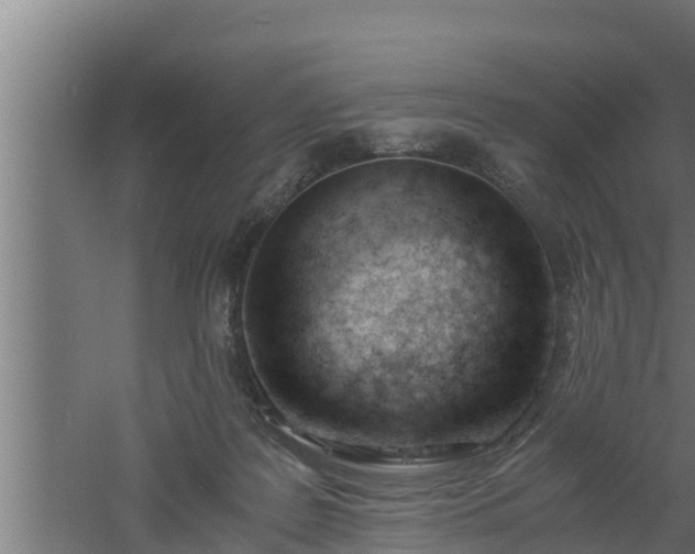 X0000061120219200511241719