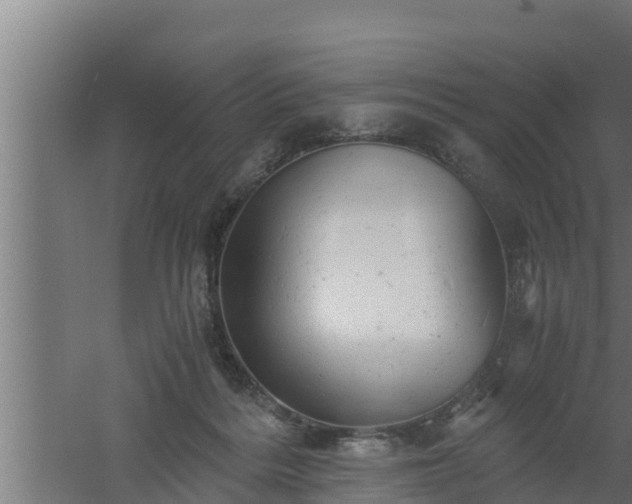 X0000061120220200511241719