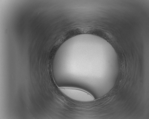 X0000061120221200511241719