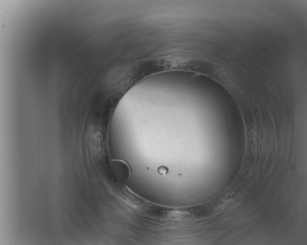 X0000061120222200511241718