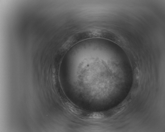 X0000061120223200511241718