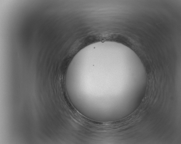 X0000061120225200511241718