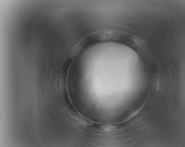 X0000061120226200511241718