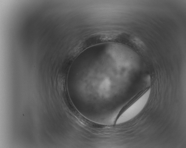 X0000061120227200511241718