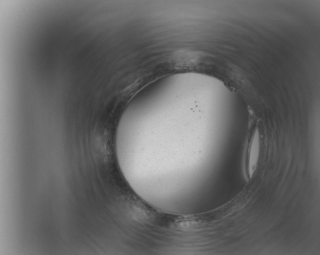 X0000061120228200511241718