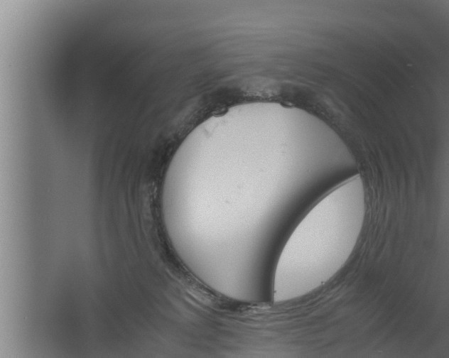 X0000061120229200511241718