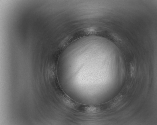 X0000061120230200511241718