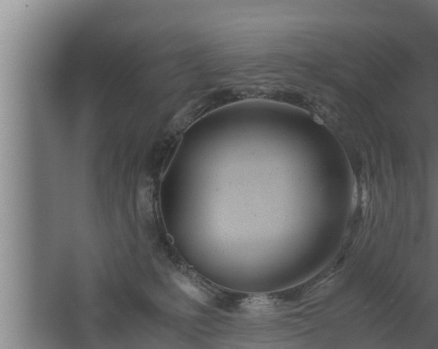 X0000061120231200511241718