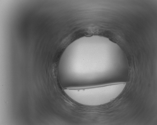 X0000061120233200511241718