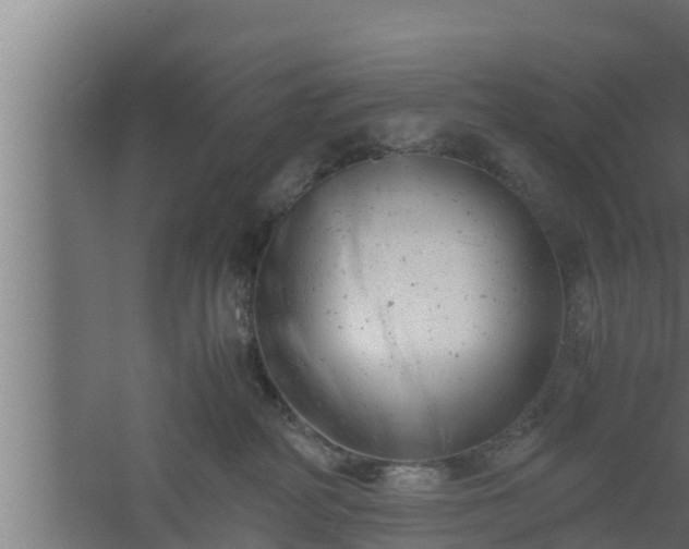 X0000061120234200511241718