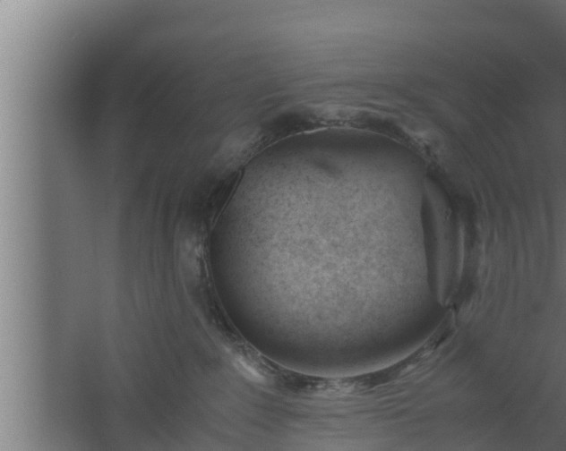 X0000061120235200511241718