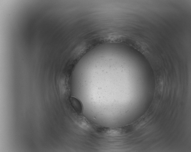 X0000061120236200511241718