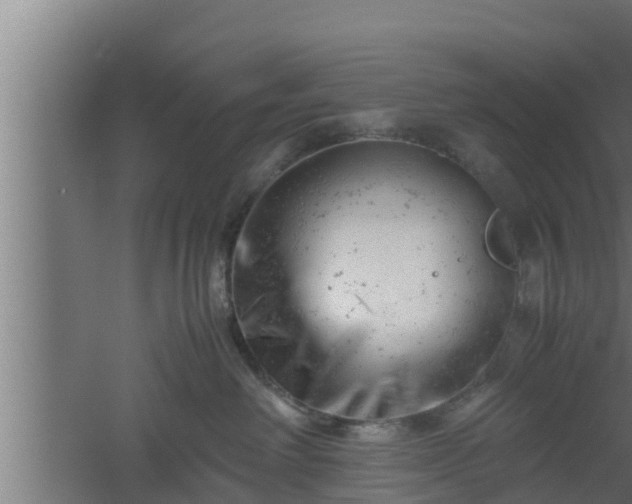 X0000061120238200511241718