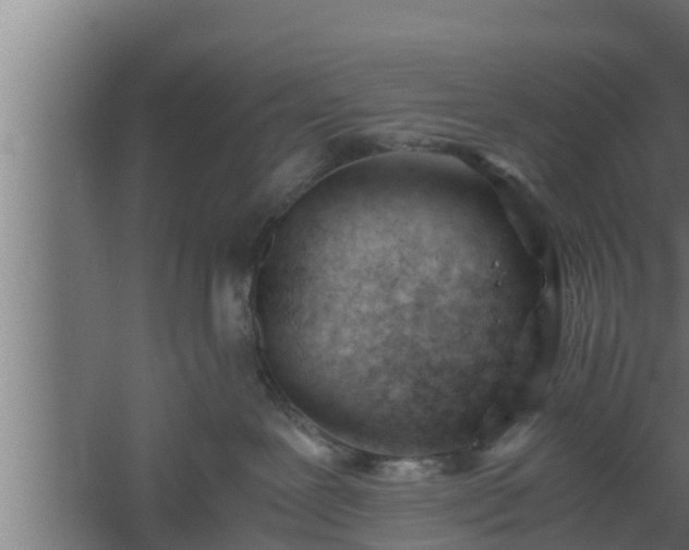 X0000061120239200511241718