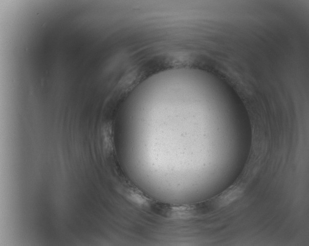 X0000061120240200511241718