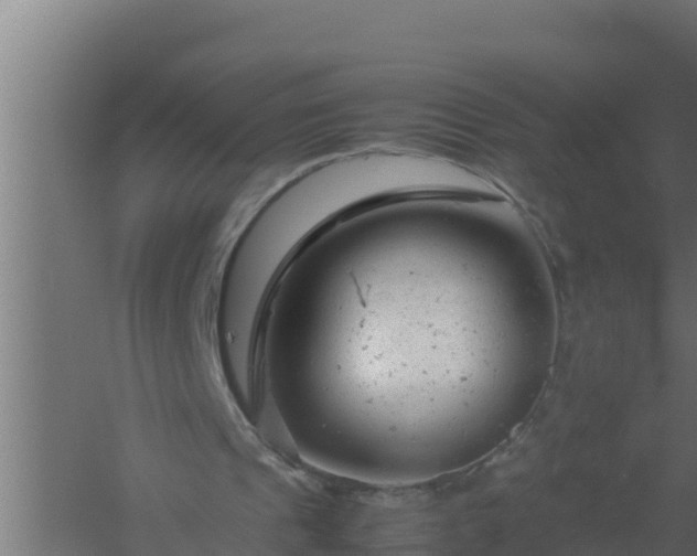 X0000061120241200511241717