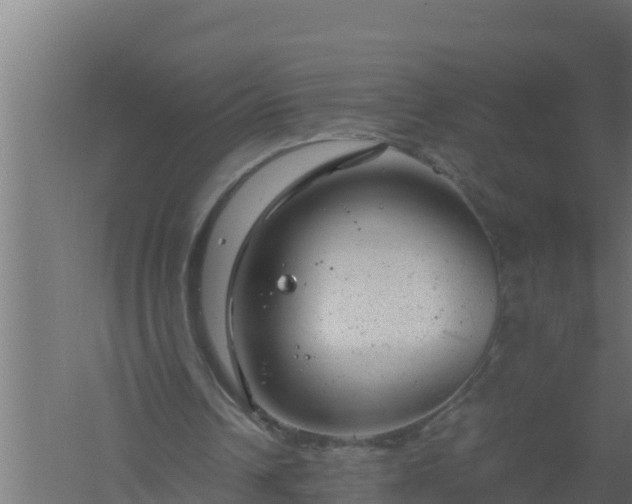 X0000061120242200511241717