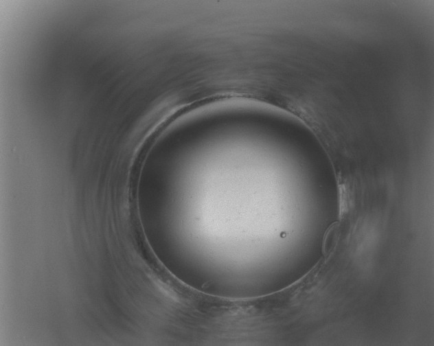 X0000061120243200511241717