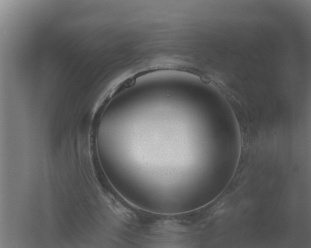 X0000061120244200511241717