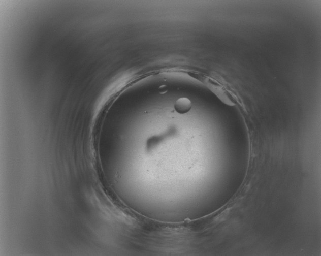 X0000061120245200511241717