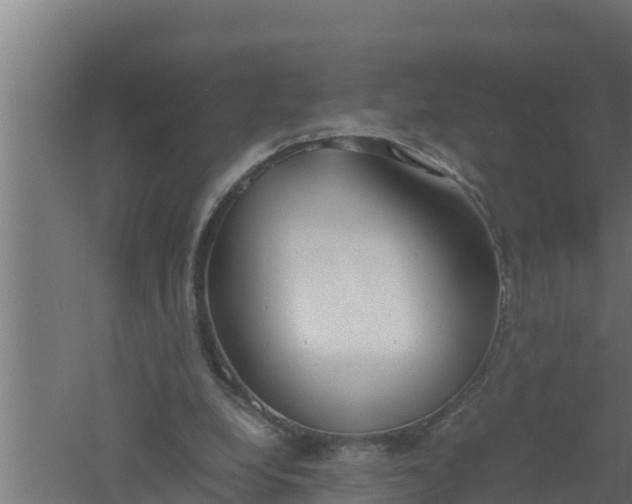 X0000061120248200511241717