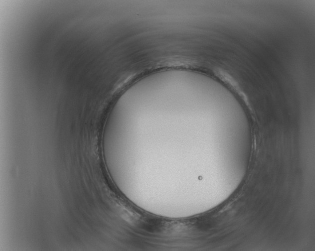 X0000061120249200511241717