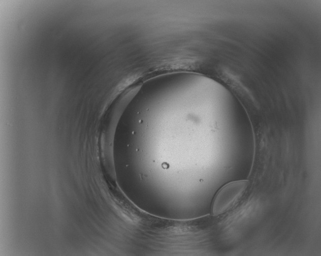 X0000061120250200511241718