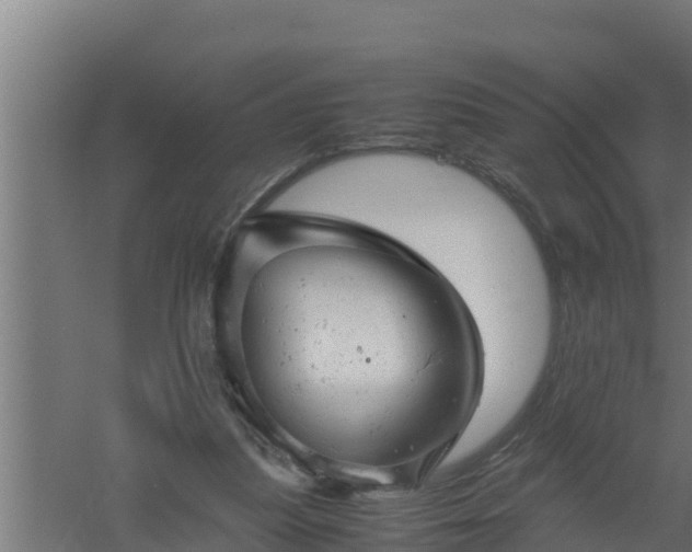 X0000061120251200511241718