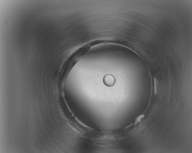 X0000061120252200511241718