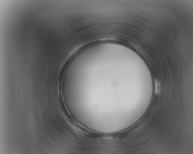 X0000061120253200511241718