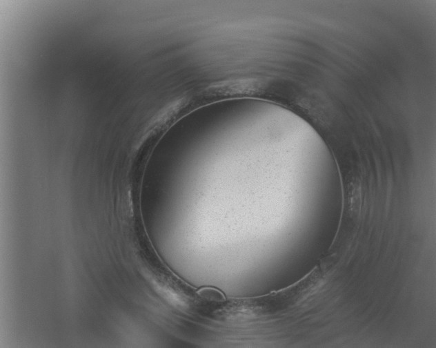 X0000061120254200511241718