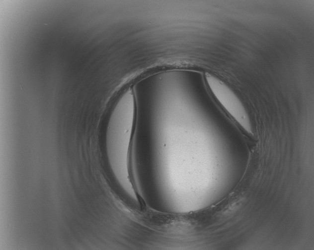 X0000061120256200511241718