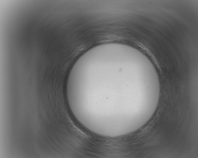 X0000061120257200511241718