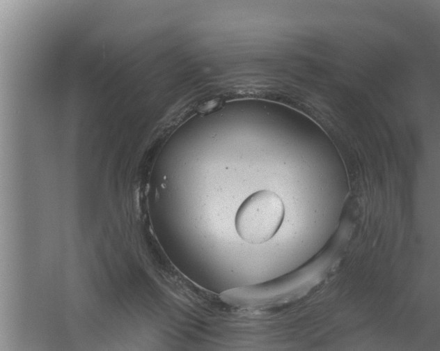 X0000061120262200511241718